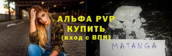 СК Ельня
