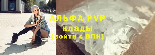 СК Ельня