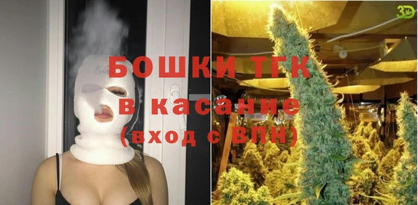СК Ельня