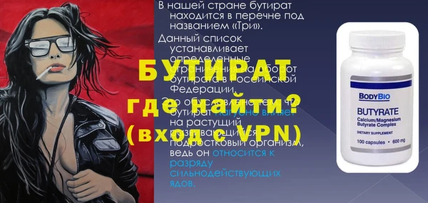 СК Ельня