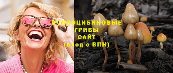 скорость Зеленодольск