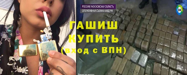 СК Ельня