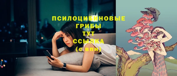 дживик Елизово
