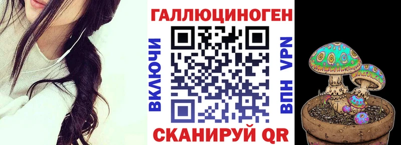 Купить  Курчалой  Псилоцибиновые грибы прущие грибы 
