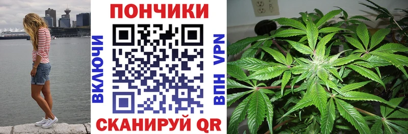 Канабис тримм  Купить закладки  Курчалой 